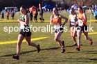 Senior womens 2025 Northern Cross Country Champs, Tatton Park, Knutsford, Cheshire. Photo: David T. Hewitson/Sports for All Pics